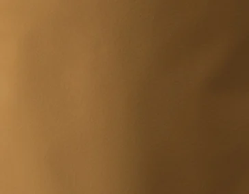 Яндекс Дзен